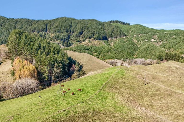 Photo of property in 2377 Motueka Valley Highway, Woodstock, Motueka, 7196