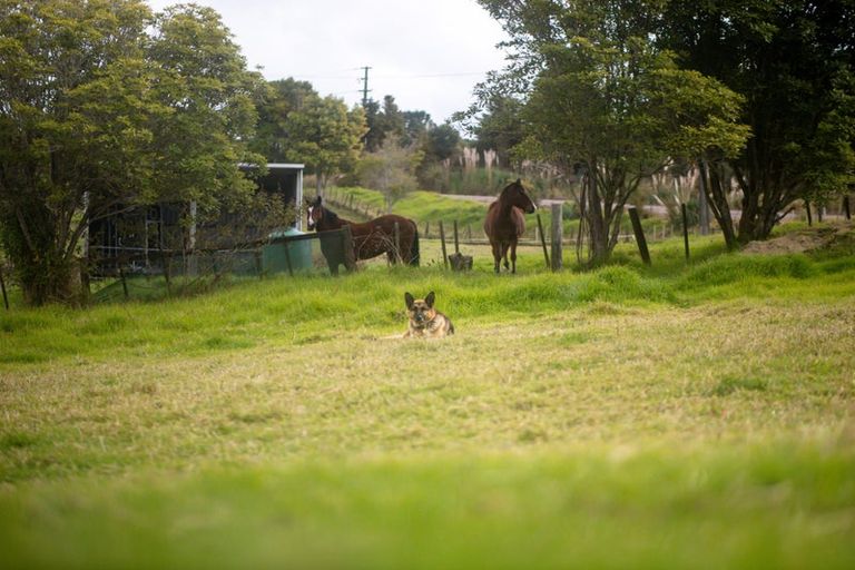 Photo of property in 94 Montrose Road, Kerikeri, 0293