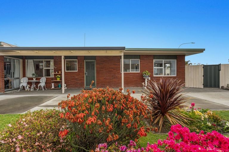 Photo of property in 17 Hikurangi Street, Whakatane, 3120