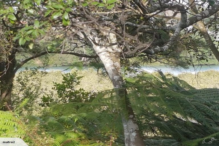 Photo of property in 157e Colwill Road, Massey, Auckland, 0614