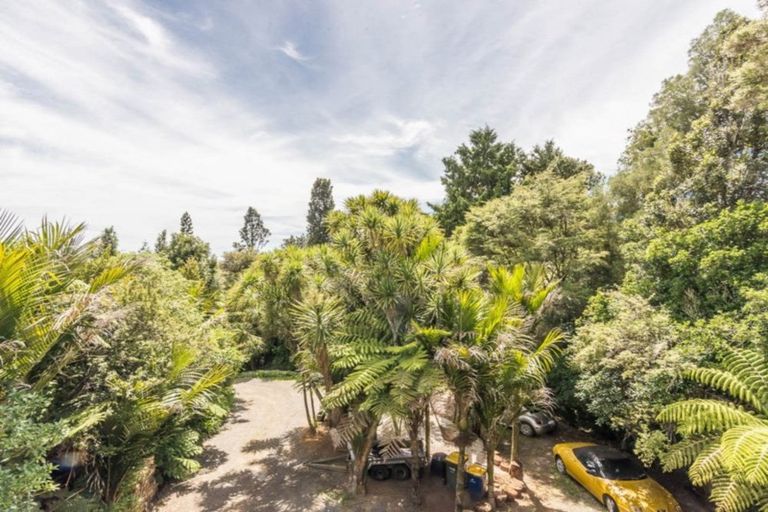 Photo of property in 215 Shaw Road, Titirangi, Auckland, 0604