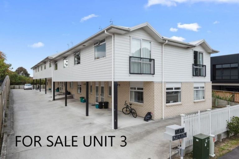 Photo of property in 19u3 Manning Street, Hamilton Central, Hamilton, 3204