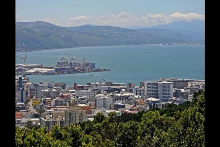 Photo of property in 3c/145 Ohiro Road, Brooklyn, Wellington, 6021