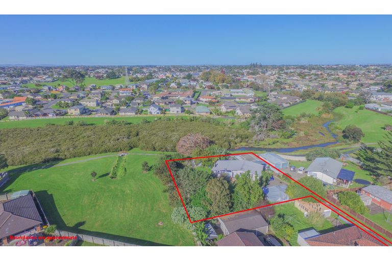 Photo of property in 21 Lachlan Place, Favona, Auckland, 2024