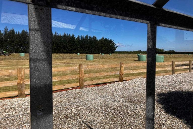 Photo of property in 101 Seaward Road, Edendale, 9825