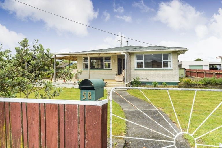 Photo of property in 58 Sherwill Street, Feilding, 4702