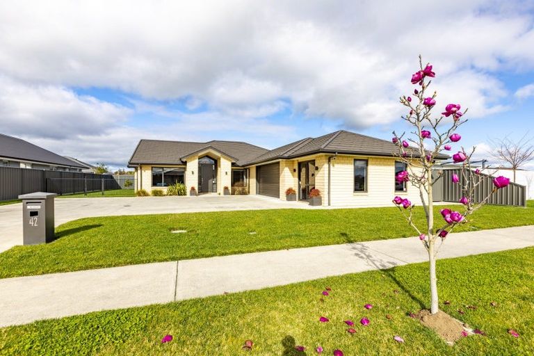 Photo of property in 42 Matariki Avenue, Frimley, Hastings, 4120