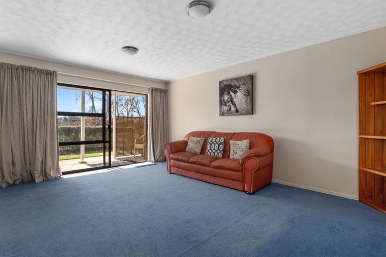 Photo of property in 14 Waikareao Way, Brookfield, Tauranga, 3110