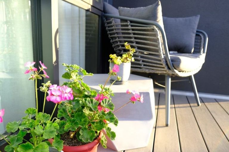 Photo of property in 25 Settlers Avenue, Hobsonville, Auckland, 0618