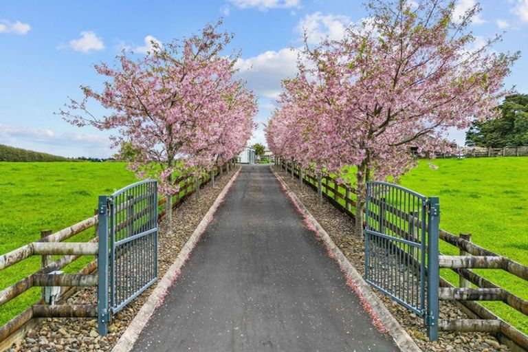 Photo of property in 137 Hart Road, Pukekohe, 2676