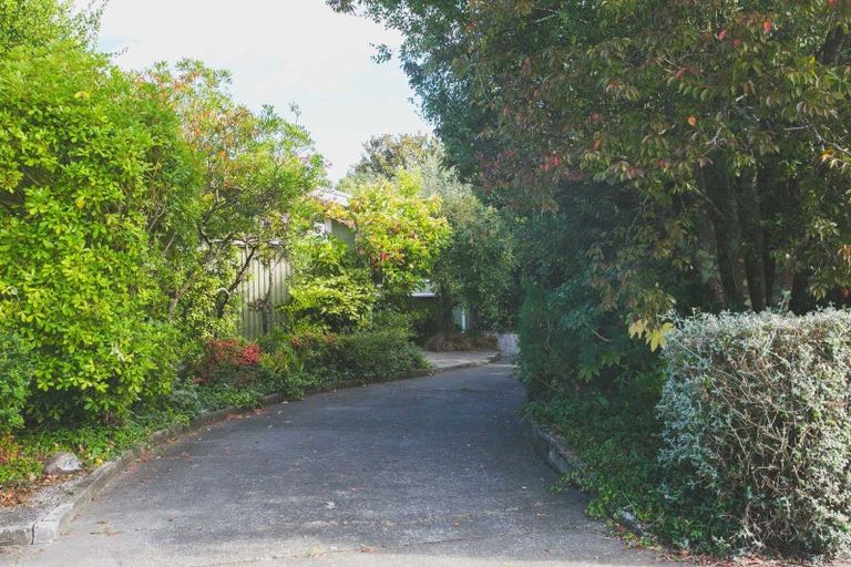 Photo of property in 12 Rakau Street, Havelock North, 4130