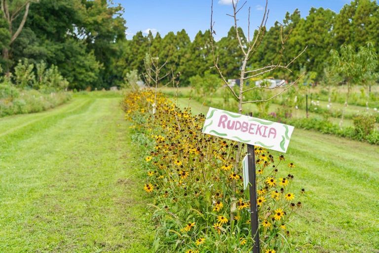 Photo of property in 288 Oropi Gorge Road, Oropi, Tauranga, 3173