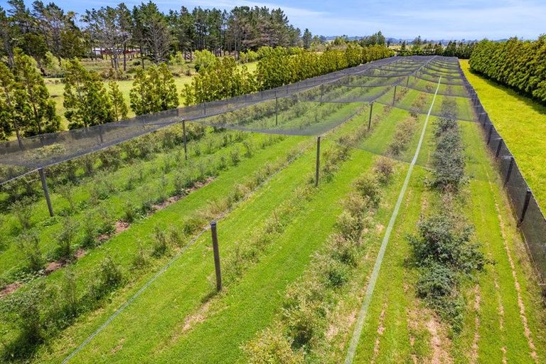 Photo of property in 438 Alfred Road, Kaimiro, New Plymouth, 4371