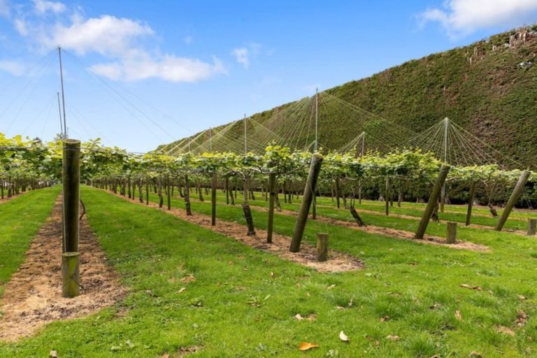 Photo of property in 706 No 1 Road, Te Puke, 3182