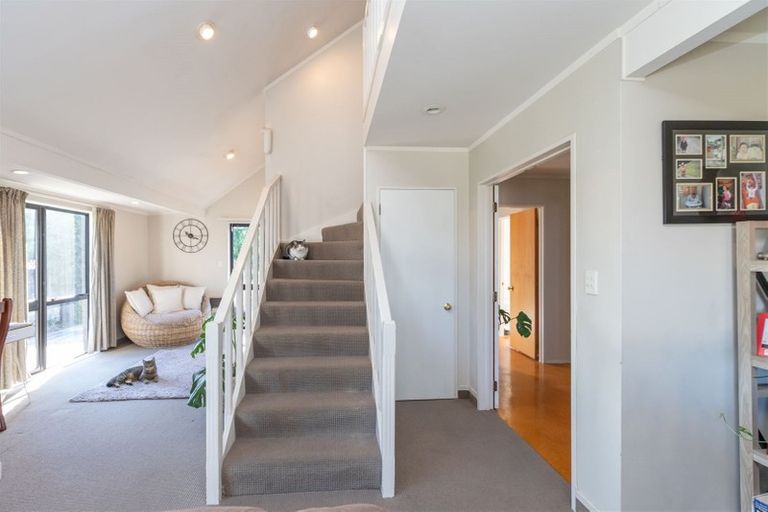 Photo of property in 1 Woodland Drive, Flagstaff, Hamilton, 3210