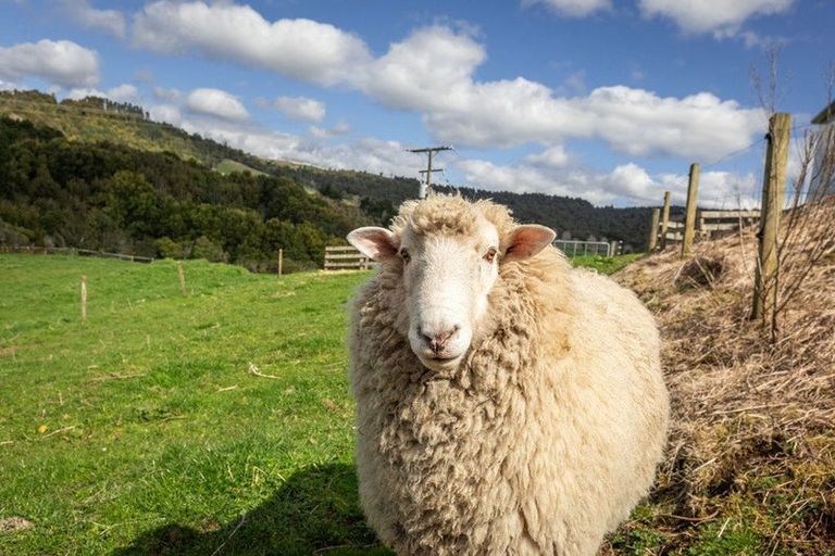 Photo of property in 451 Woodlands Road, Waihi, 3682