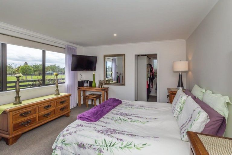 Photo of property in 126 Gladstone Road, Levin, 5571