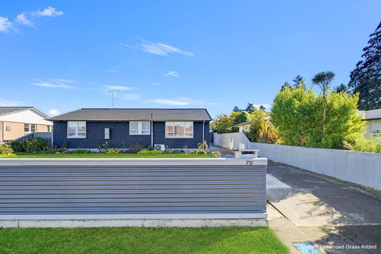 Photo of property in 79 Bridge Street, Netherby, Ashburton, 7700