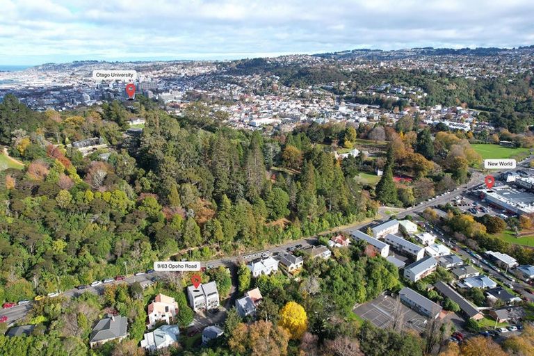 Photo of property in 63 Opoho Road, North East Valley, Dunedin, 9010