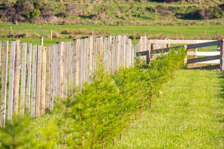 Photo of property in 349 Haringa Road, Carrington, Carterton, 5791