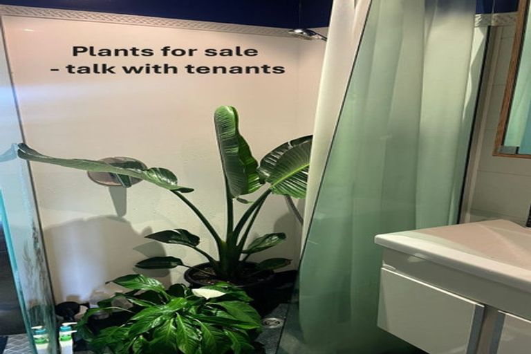 Photo of property in Qba Apartments, 2e/51 Webb Street, Mount Cook, Wellington, 6011