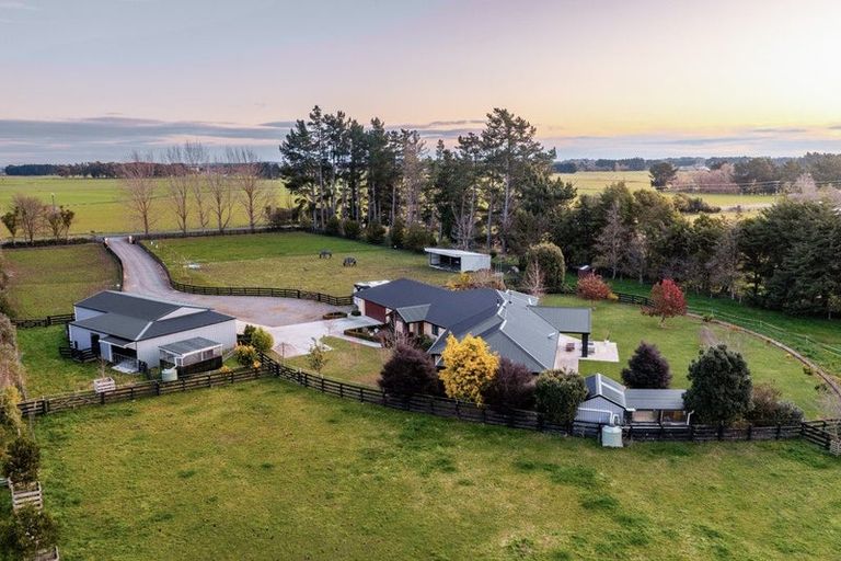 Photo of property in 255 Calico Line, Marton, 4787