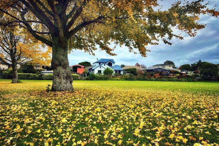 Photo of property in 22a Martin Place, Whakatane, 3120