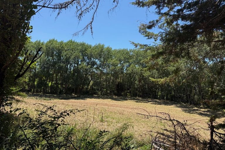 Photo of property in 87 Croft Lane, Riverhead, Albany, 0793