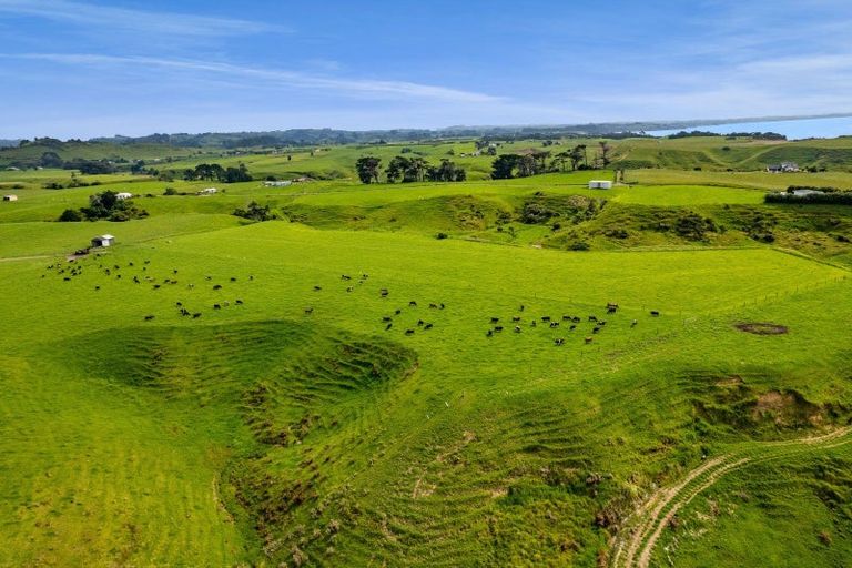 Photo of property in 78 Waitoetoe Road, Mimi, Urenui, 4377