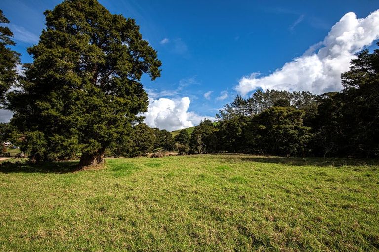 Photo of property in 362a Whananaki Road North, Opuawhanga, Hikurangi, 0181