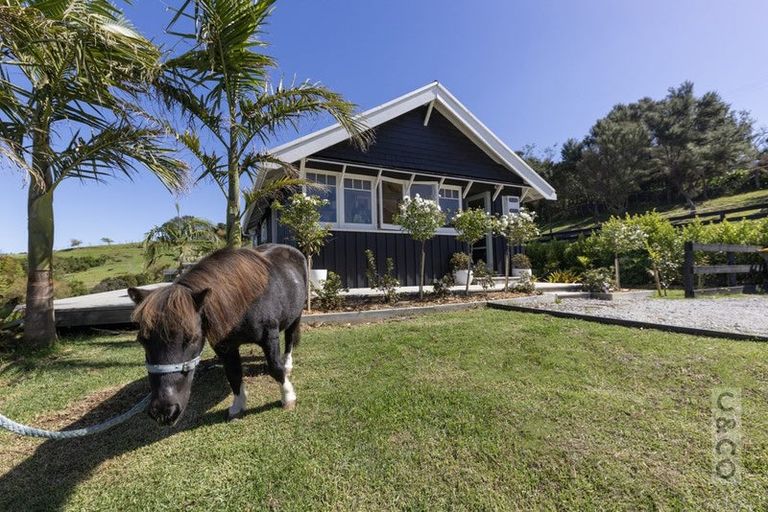Photo of property in 349 Fordyce Road, Helensville, 0874