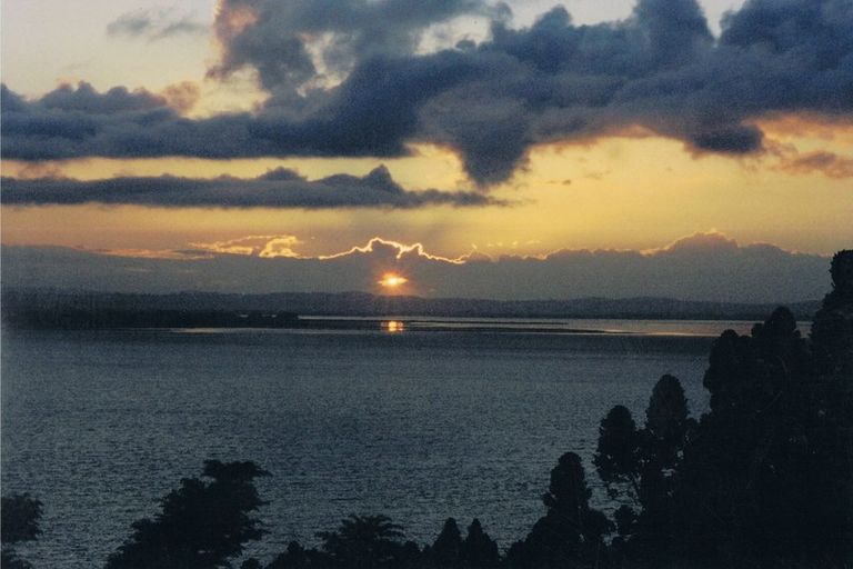 Photo of property in 768 South Titirangi Road, Titirangi, Auckland, 0604