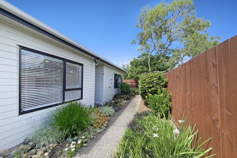 Photo of property in 3/22 Evelyn Place, Hillcrest, Auckland, 0627