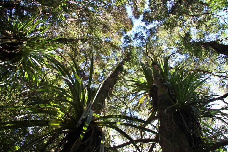 Photo of property in 42b Dutton Road, Peria, Kaitaia, 0482