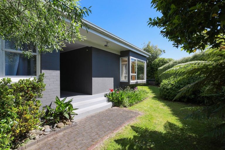 Photo of property in 55 Casey Avenue, Fairfield, Hamilton, 3214