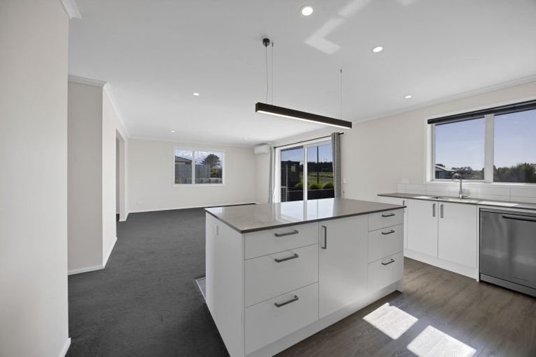 Photo of property in 20 Bianca Crescent, Stratford, 4332