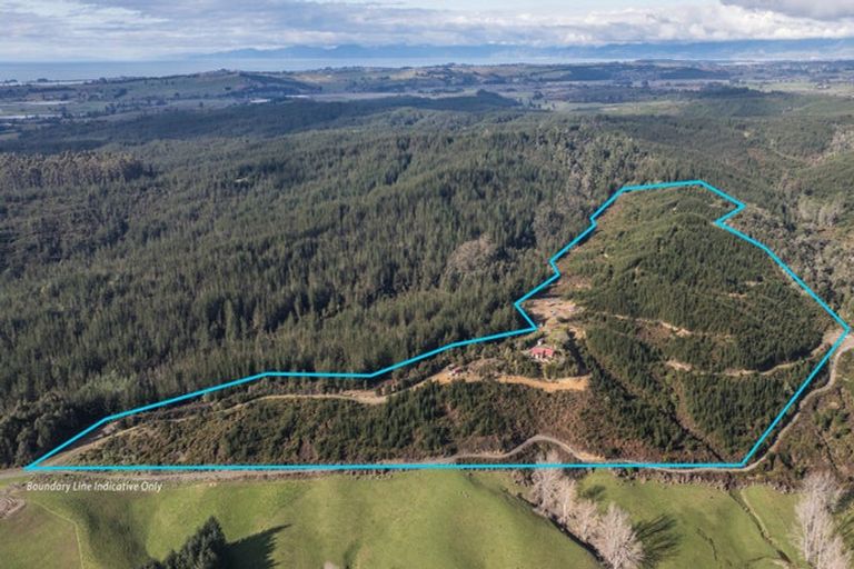 Photo of property in 441 Waiwhero Road, Ngatimoti, Upper Moutere, 7175