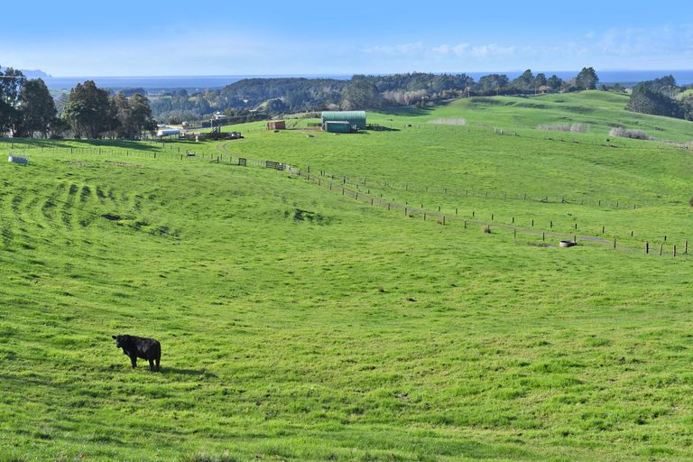 Photo of property in 210 Staniforth Road, Kaiwaka, Wellsford, 0975