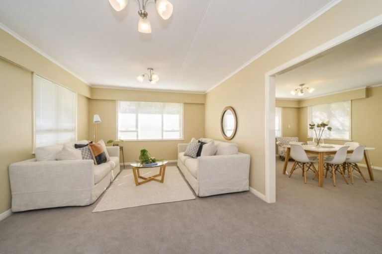 Photo of property in 20 Newhaven Place, Roslyn, Palmerston North, 4414