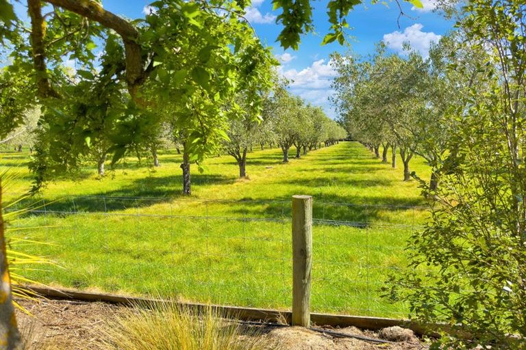 Photo of property in 325 Georges Road, Glasnevin, Amberley, 7482