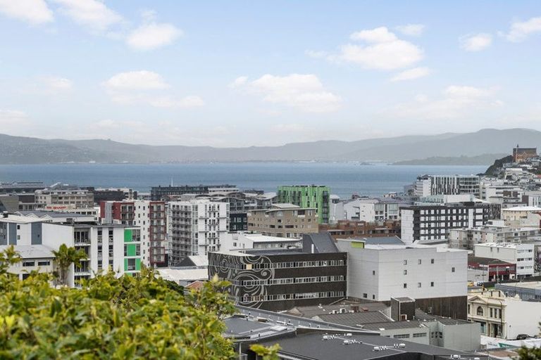 Photo of property in 53 Thompson Street, Mount Cook, Wellington, 6011