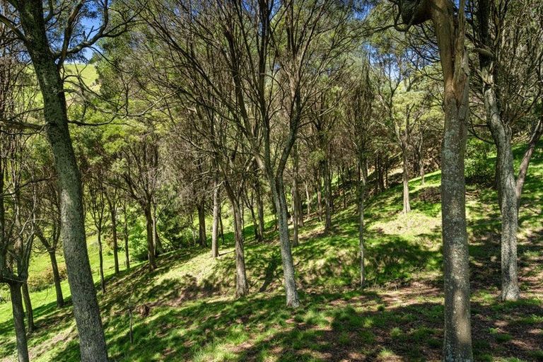 Photo of property in 231 Aniseed Valley Road, Aniseed Valley, Richmond, 7081