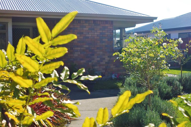 Photo of property in 19 Edgewater Grove, Whakatane, 3120