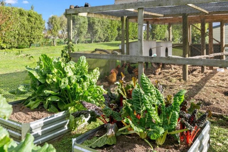 Photo of property in 368d Glue Pot Road, Oropi, Tauranga, 3173