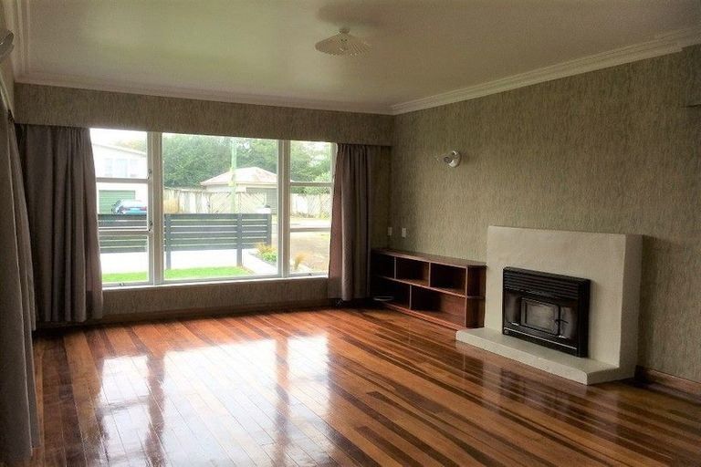 Photo of property in 3 Graham Street, Levin, 5510