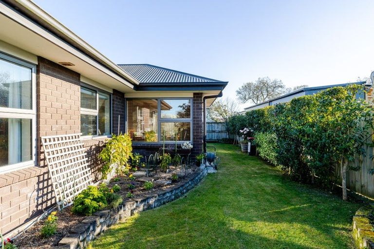 Photo of property in 211a Vogel Street, Roslyn, Palmerston North, 4414