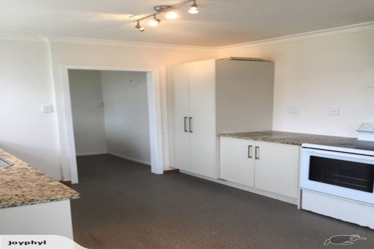 Photo of property in 16 Ferguson Street, Levin, 5510