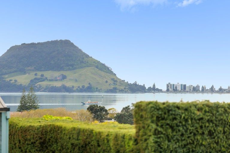 Photo of property in 3 Pillans Road, Otumoetai, Tauranga, 3110