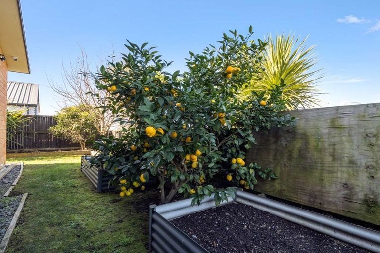 Photo of property in 37 Lulu Avenue, Chartwell, Hamilton, 3210