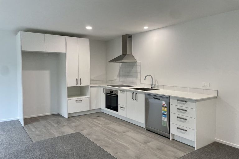 Photo of property in 155u2 Rimu Street, Maeroa, Hamilton, 3200